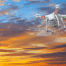 aerial photo & video