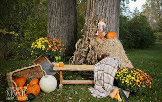fall mini sessions
