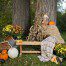 fall mini sessions