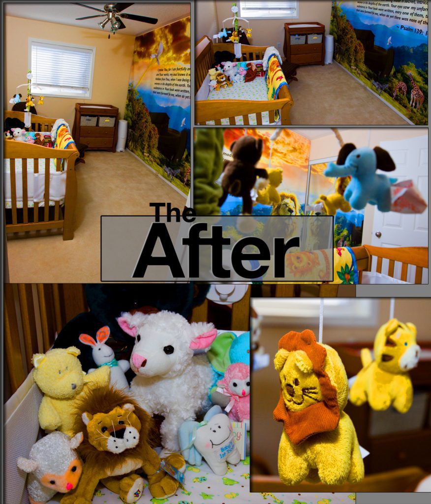 Noah's Ark Room - After