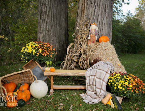 Fall Mini Sessions