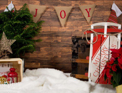 Christmas Mini Sessions