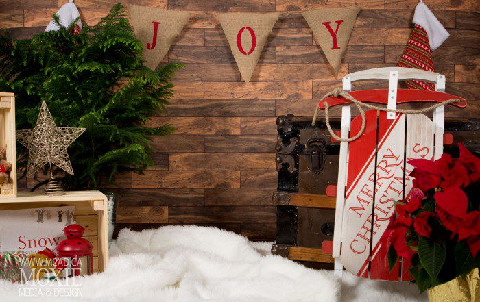 Christmas Mini Sessions 2016